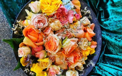 TRAUER – SIND WIDERSPRÜCHLICHE GEFÜHLE ERLAUBT?